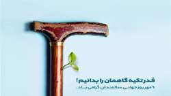 هفته گرامیداشت تکریم و منزلت سالمندان؛ با شعار تاب آوری و مشارکت زنان سالمند