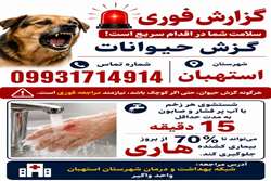 اقدام فوری پس از گزش حیوانات ، گامی حیاتی در پیشگیری از بیماری هاری